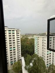 Blk 302 Clementi Meadows (Clementi), HDB 5 Rooms #531037011